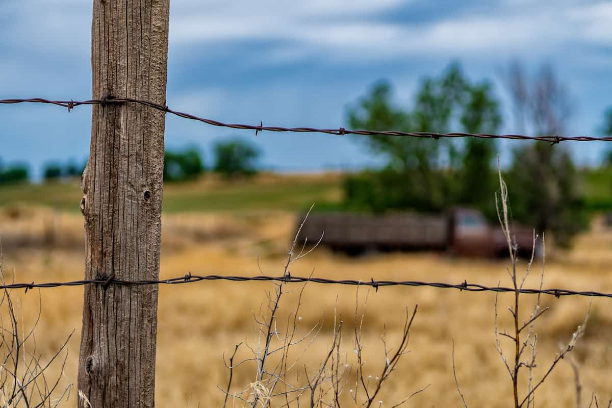 Cattle-Fence-Barbed-Wire