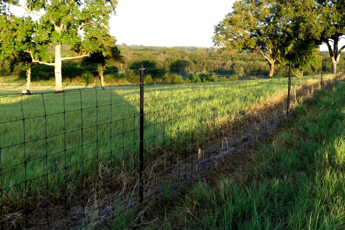 are farm electric fences safe for dogs