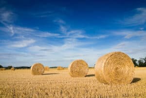 Lone Star Ag Credit Agribusiness Loan