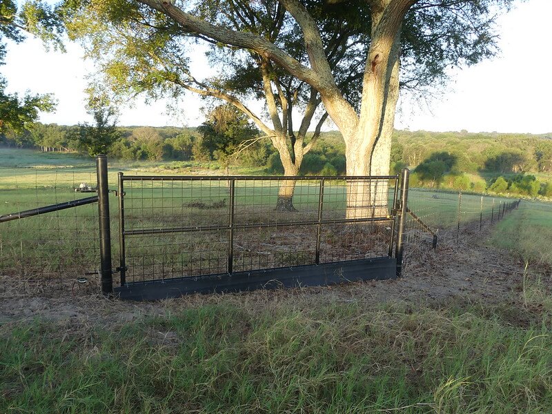Best Wild Hog Fence Gate