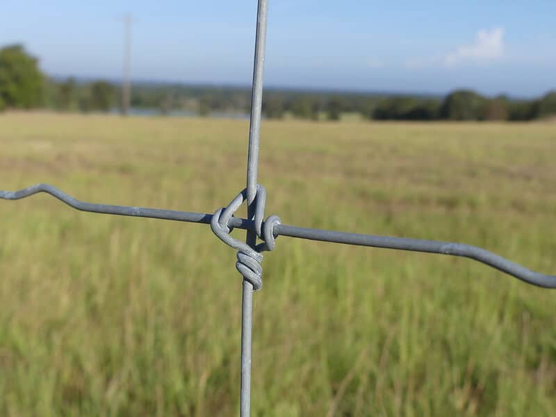 Cattle Fence Fixed Knot