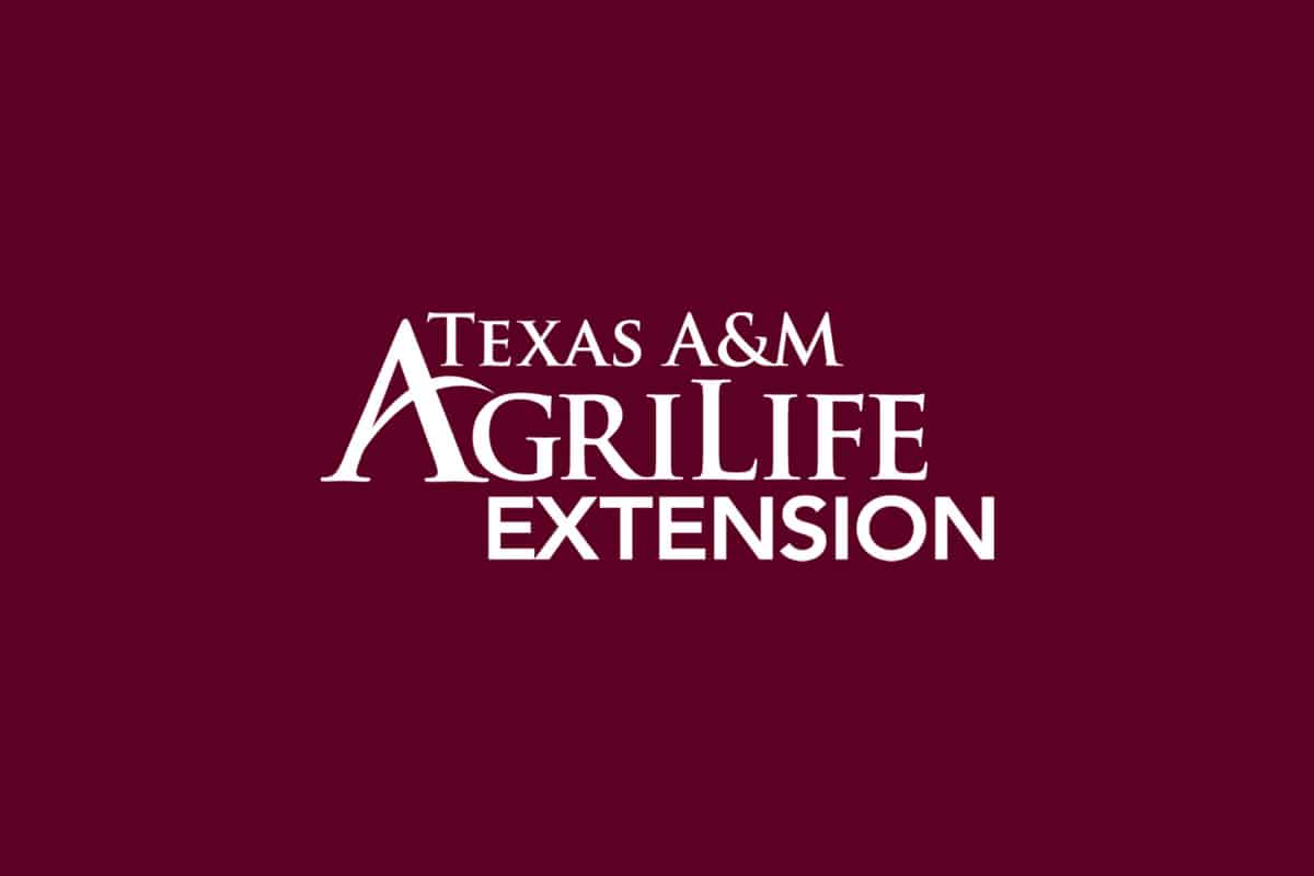 Texas A&M AgriLife Helps Landowners Help Themselves