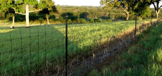 Fixed-Knot-Fence-Pattern