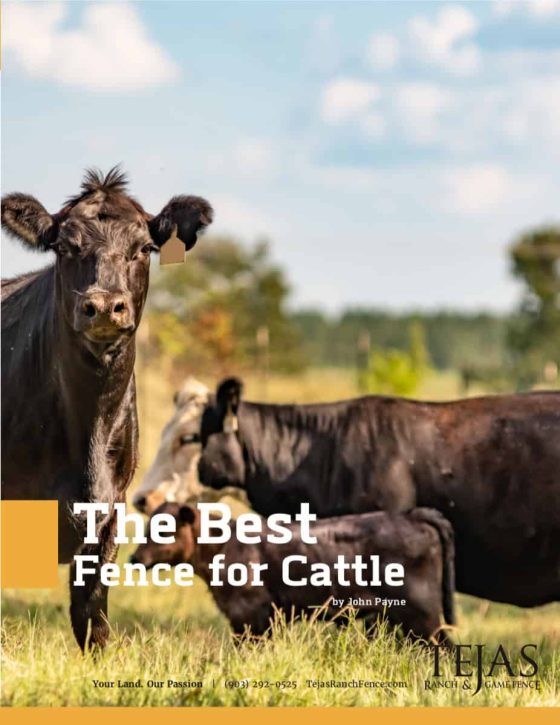best-fence-cattle-cover
