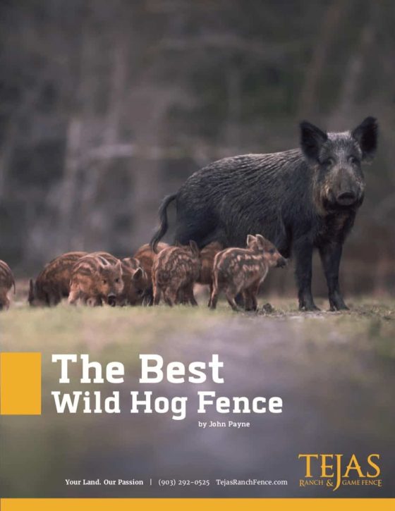 wild-hog-fence-poster-1